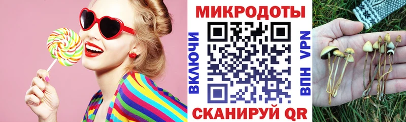 Галлюциногенные грибы Cubensis  сколько стоит  Весьегонск 